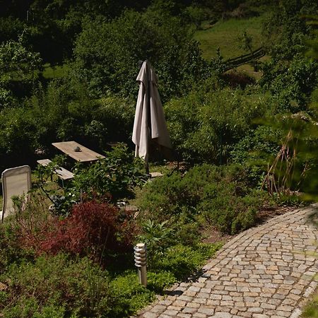Haus Am Berzdorfer See - 3 Schlafzimmer - Ganzes Haus Zur Alleinnutzung - Terrasse - Hochwertige Ausstattung Görlitz Extérieur photo