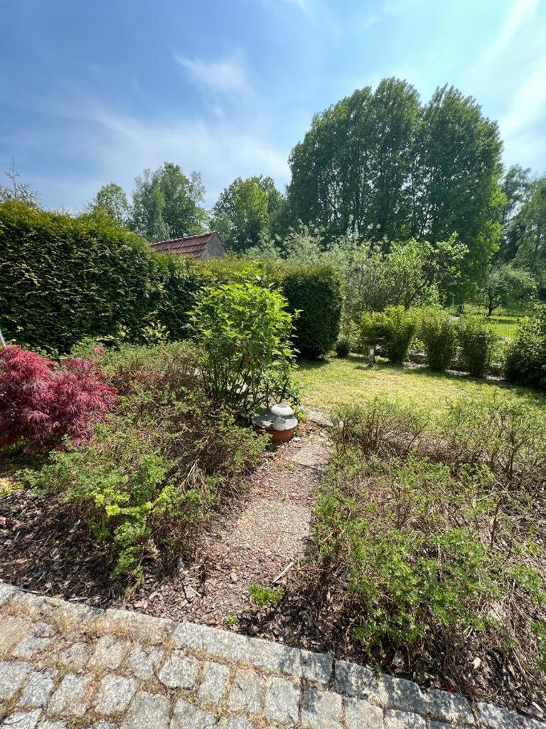 Haus Am Berzdorfer See - 3 Schlafzimmer - Ganzes Haus Zur Alleinnutzung - Terrasse - Hochwertige Ausstattung Görlitz Extérieur photo