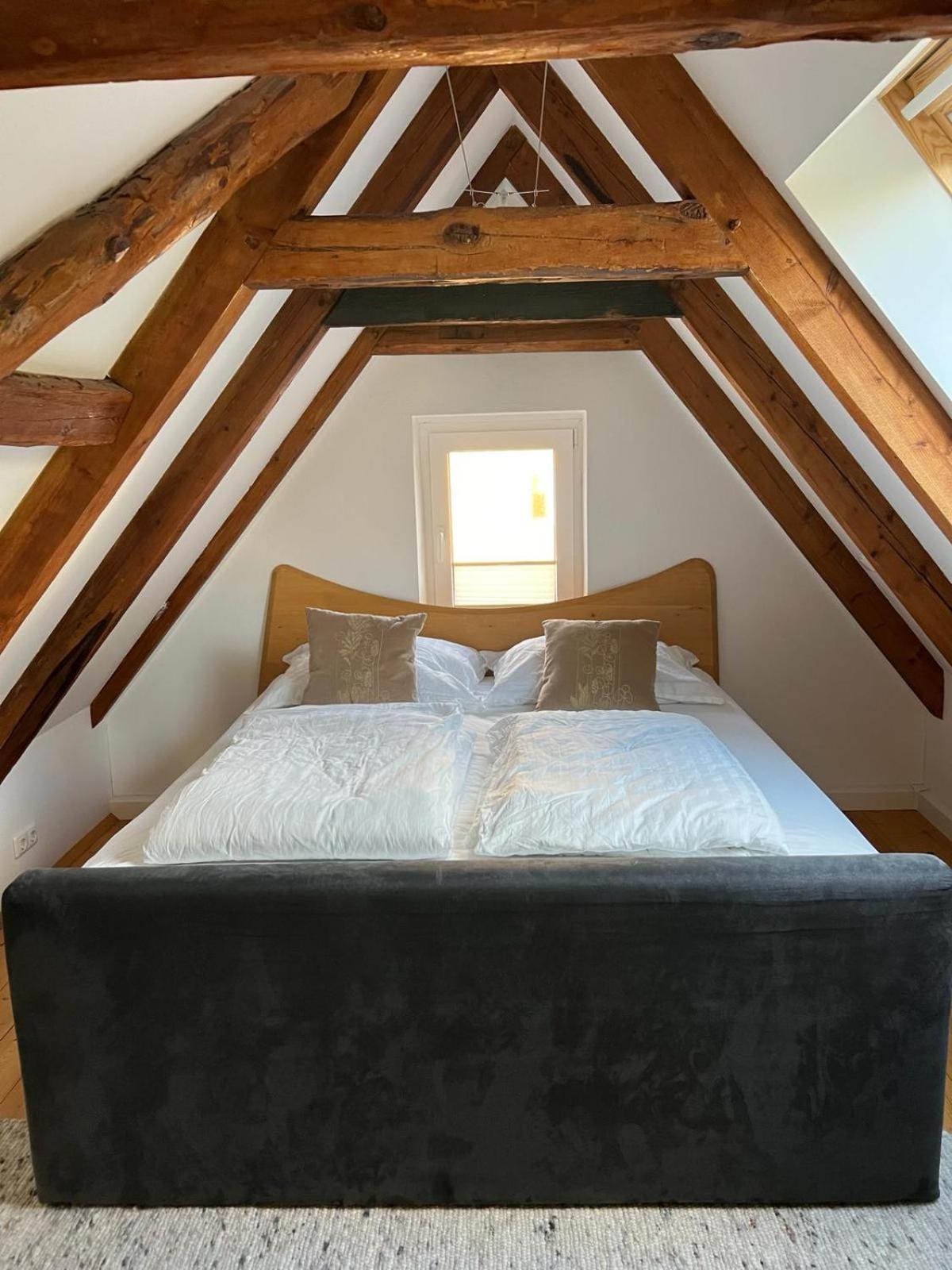 Haus Am Berzdorfer See - 3 Schlafzimmer - Ganzes Haus Zur Alleinnutzung - Terrasse - Hochwertige Ausstattung Görlitz Extérieur photo