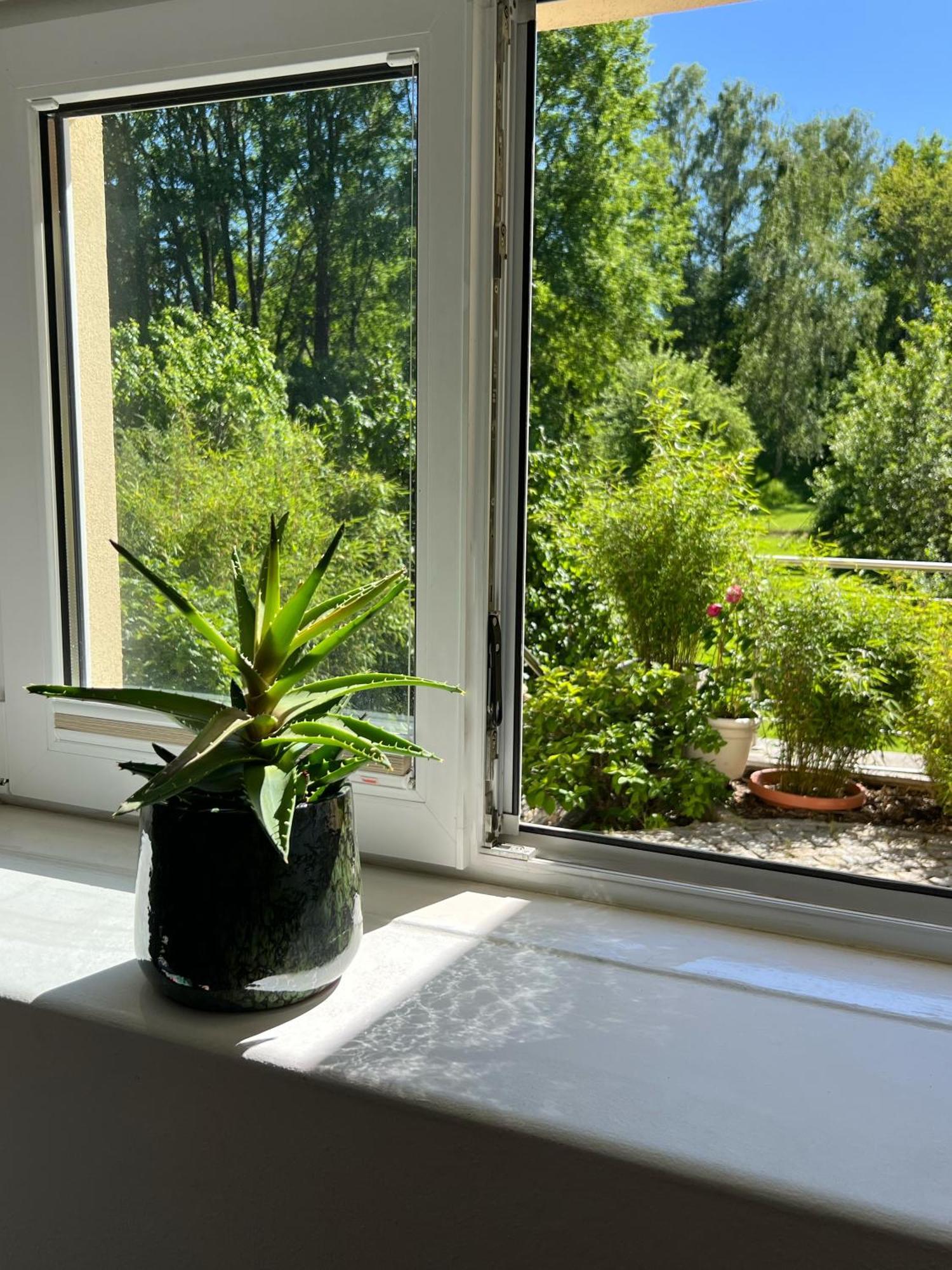 Haus Am Berzdorfer See - 3 Schlafzimmer - Ganzes Haus Zur Alleinnutzung - Terrasse - Hochwertige Ausstattung Görlitz Extérieur photo
